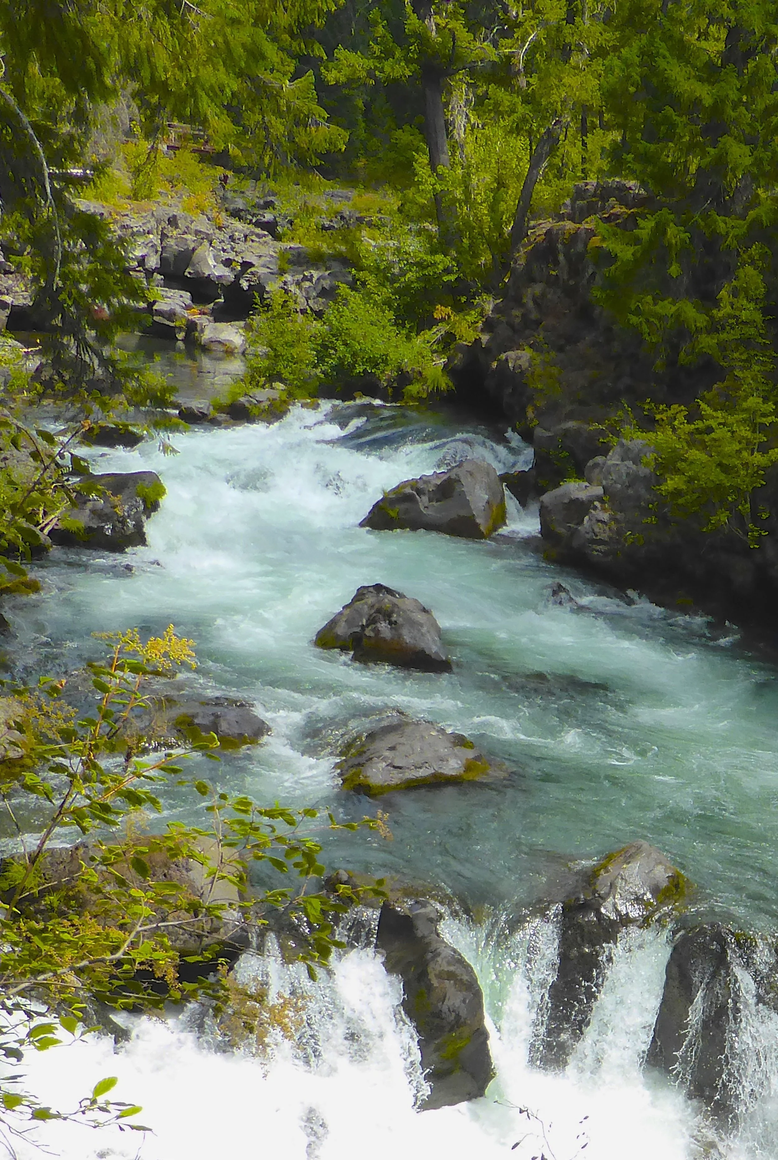 Hike along the Upper Rogue River