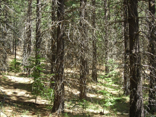 Plantation_Hell A&A.jpg