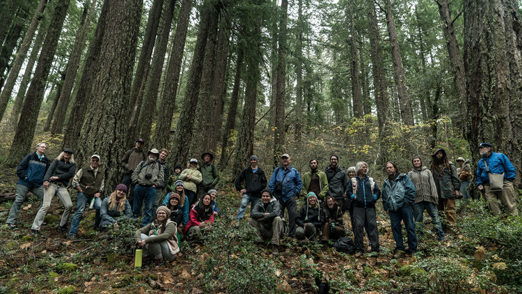 Stand with the trees and prevent Clean Slate