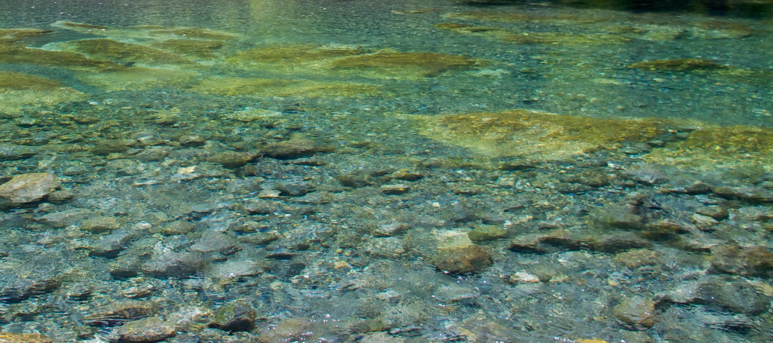 Zinke abandons protection for Wild and Scenic Chetco River