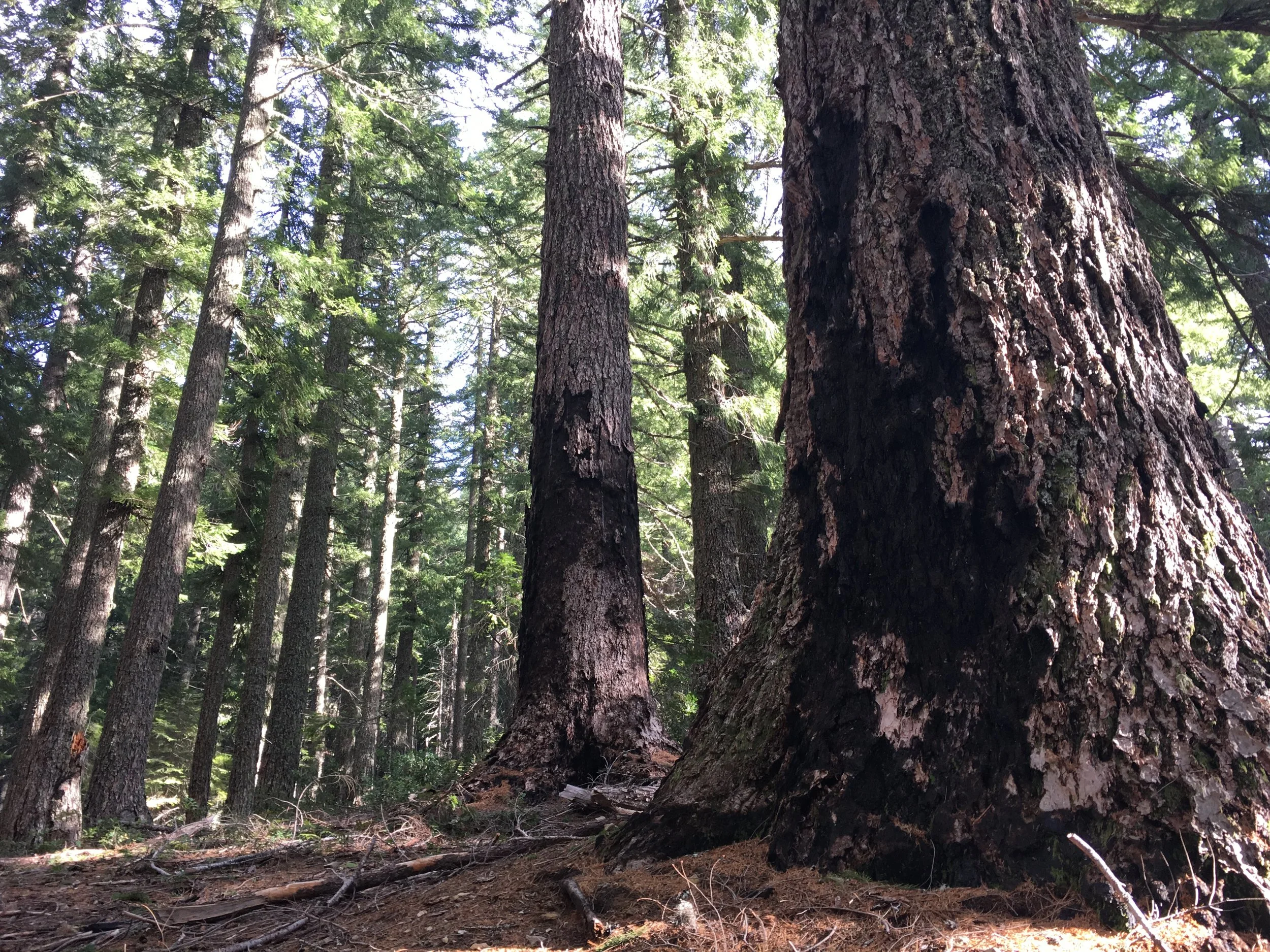 It's Time to Pull Together