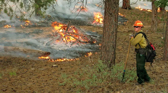 Merkley, Wyden Announce Critical Wildfire Management, Prevention Funding in Spending Bill