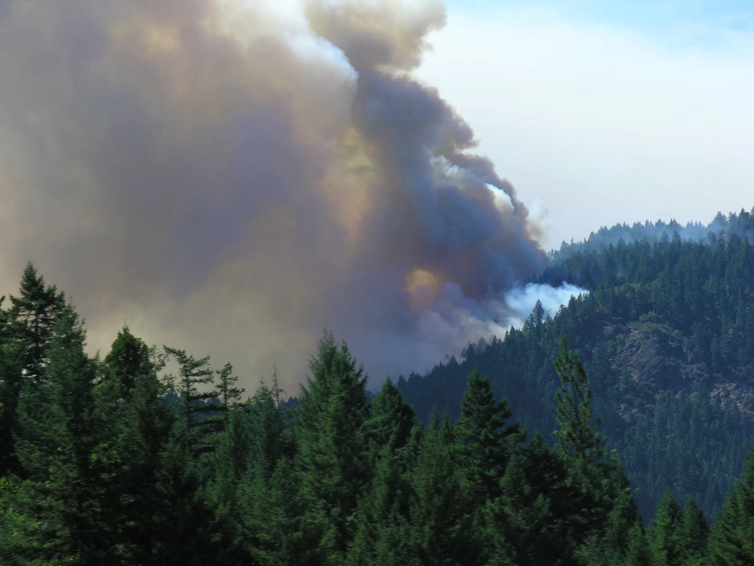 Fire Pic from SOCAN.jpg