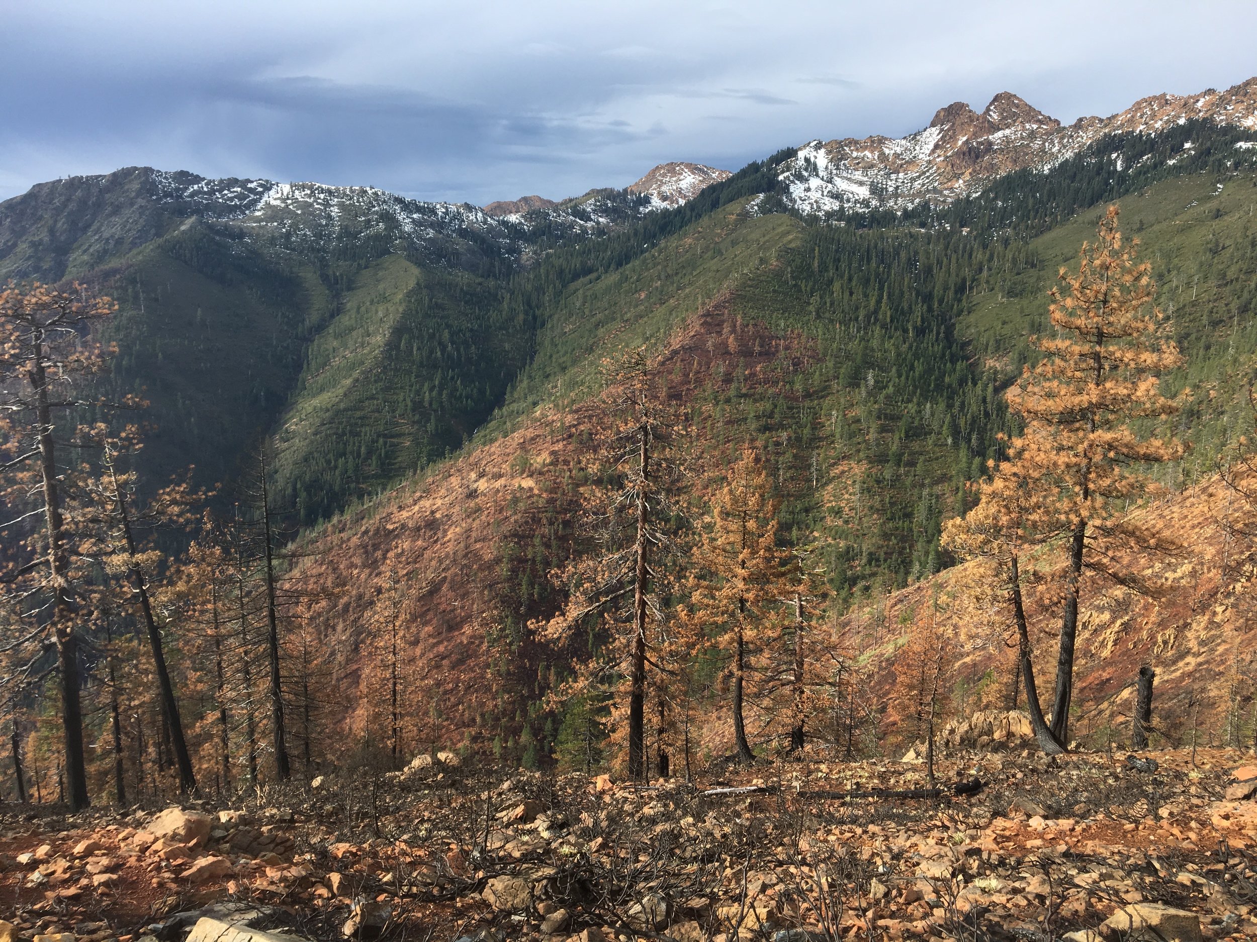 Cook and Green Pass looking into the Red Buttes Wilderness