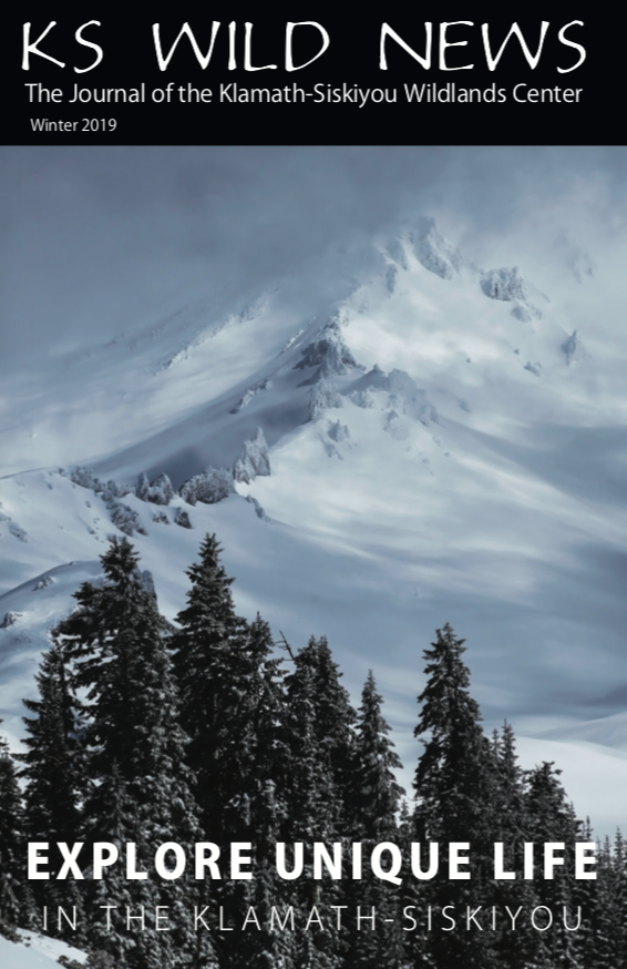 Winter 2018/2019 Newsletter
