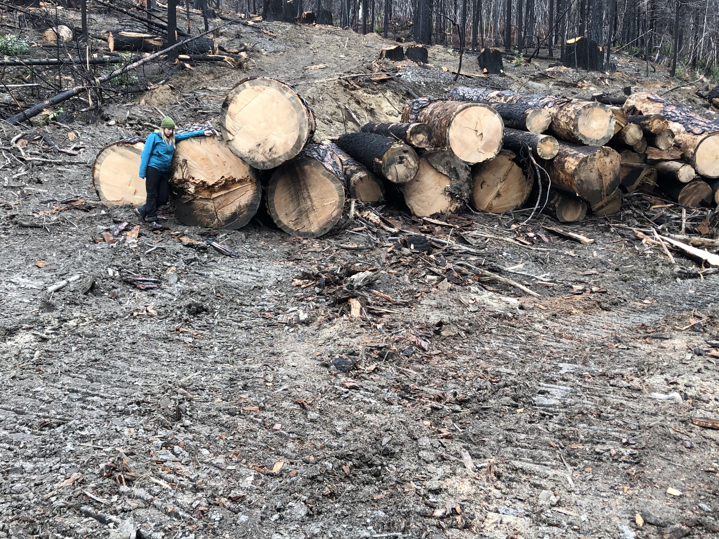 Shutdown Doesn't Apply To Logging
