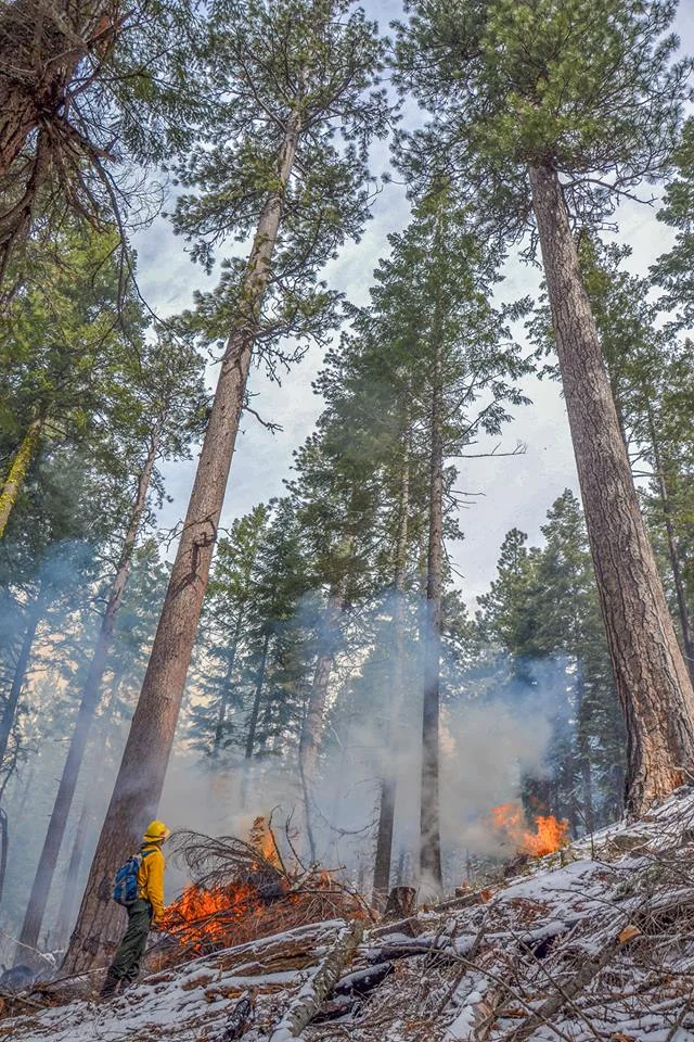 Planning and implementation of fuels projects aimed at restoring forests and protecting communities is at a standstill during the shutdown. Photo by Ashland Forest Resiliency.