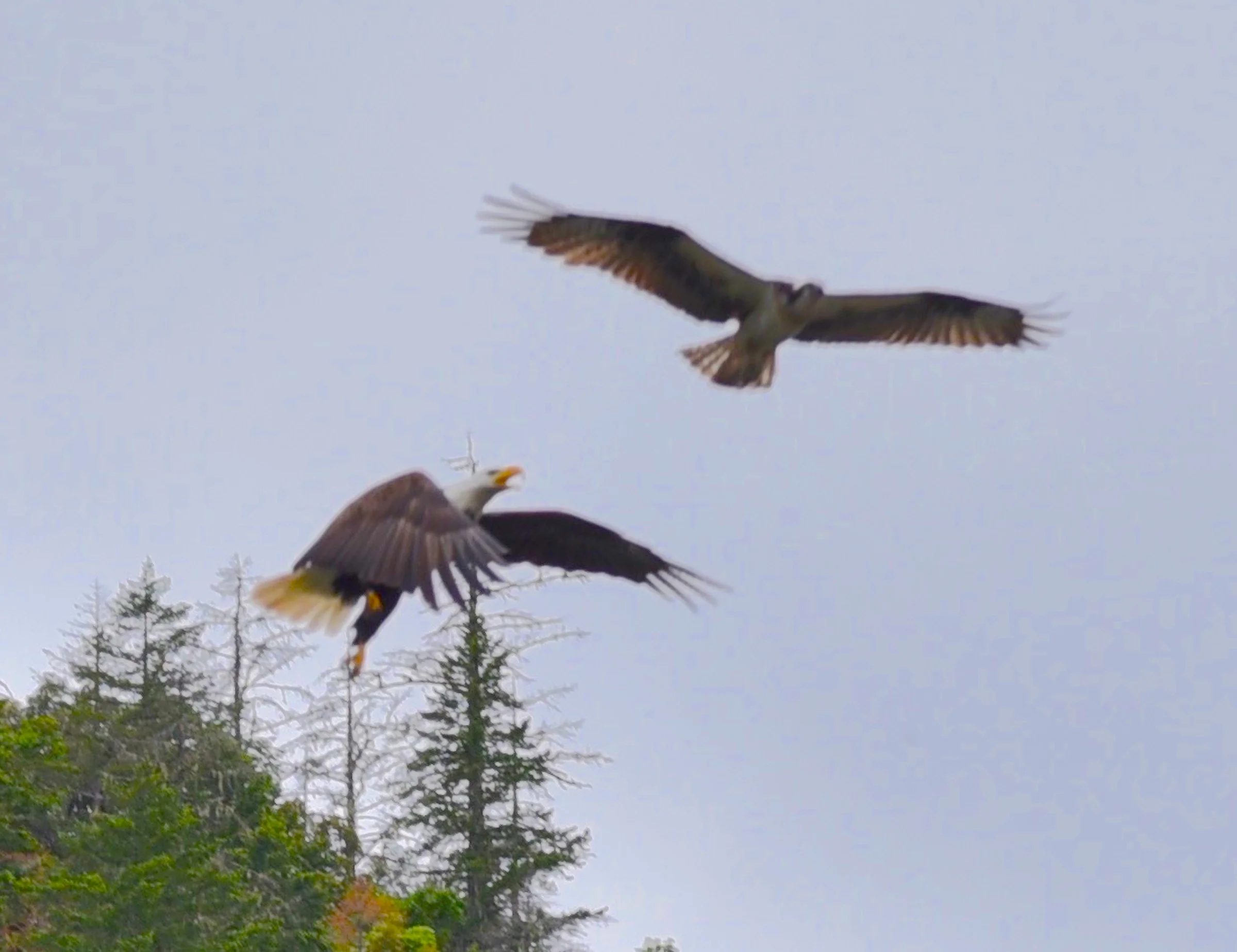 One of the guides captured the moment