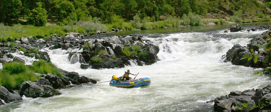 Rainey Falls on the Wild Rogue River. This stretch only had Wild and Scenic protections for .25 miles on either side of the river, leaving much of the canyon vulnerable. Now, many of the streams that flow into this area are also protected by the Wild and Scenic Rivers Act. One day this area should be protected as wilderness like areas downriver.