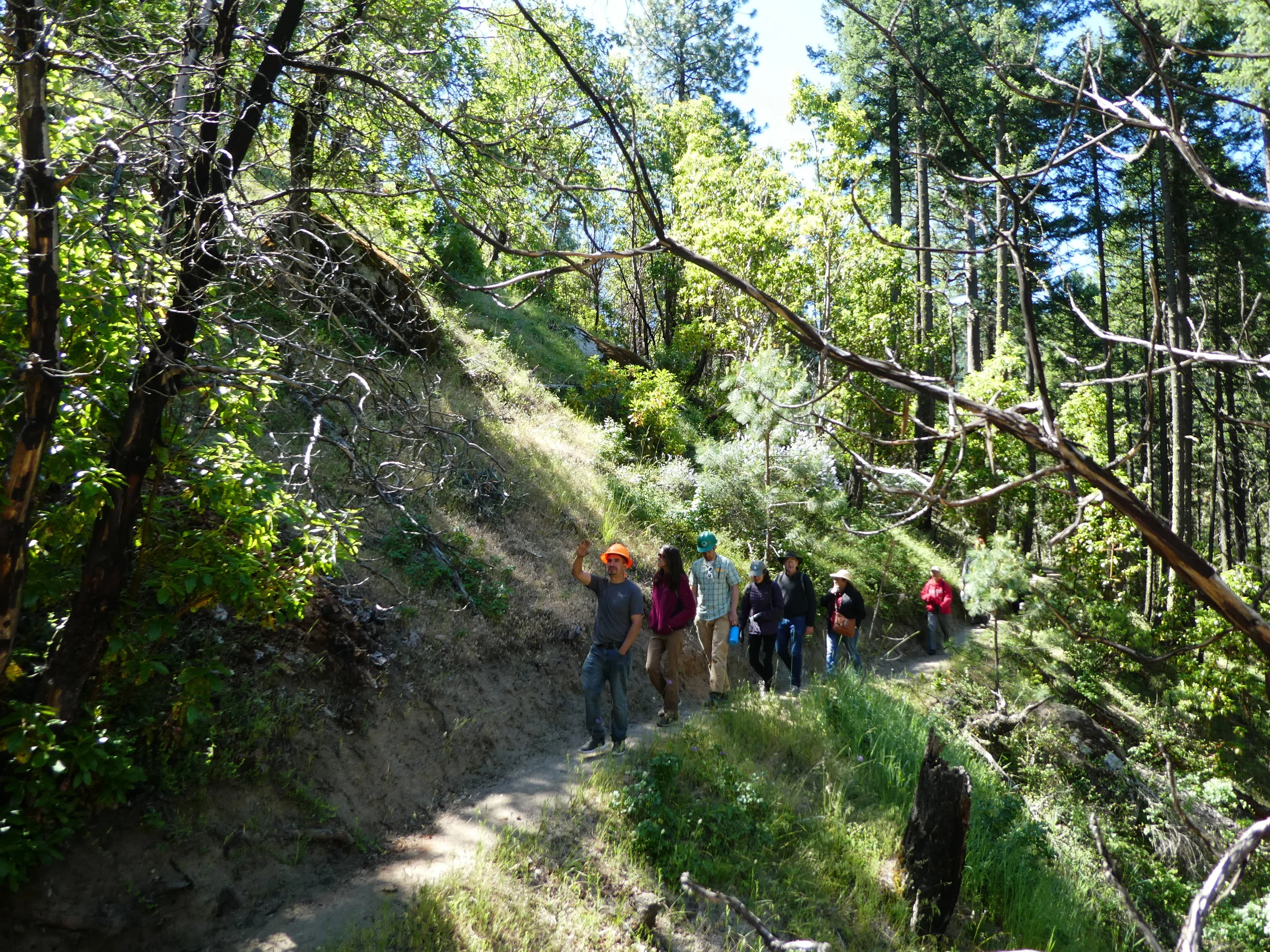The Hands that Touch the Land