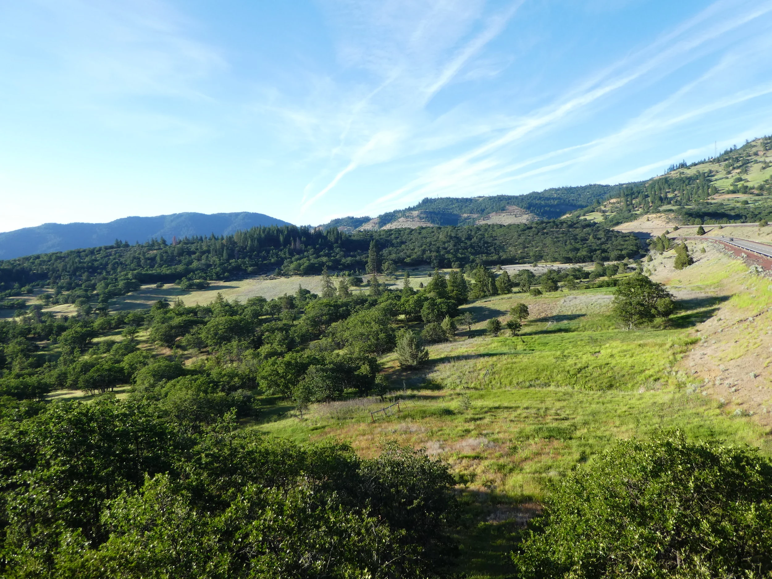 Pulling Together for the Mariposa Lily