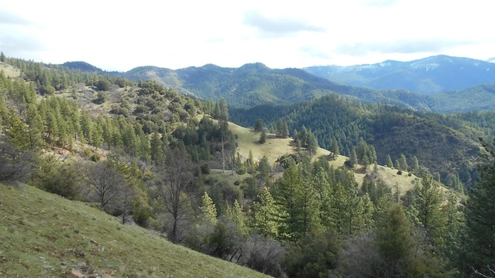 LittleGraybackMountain.jpg
