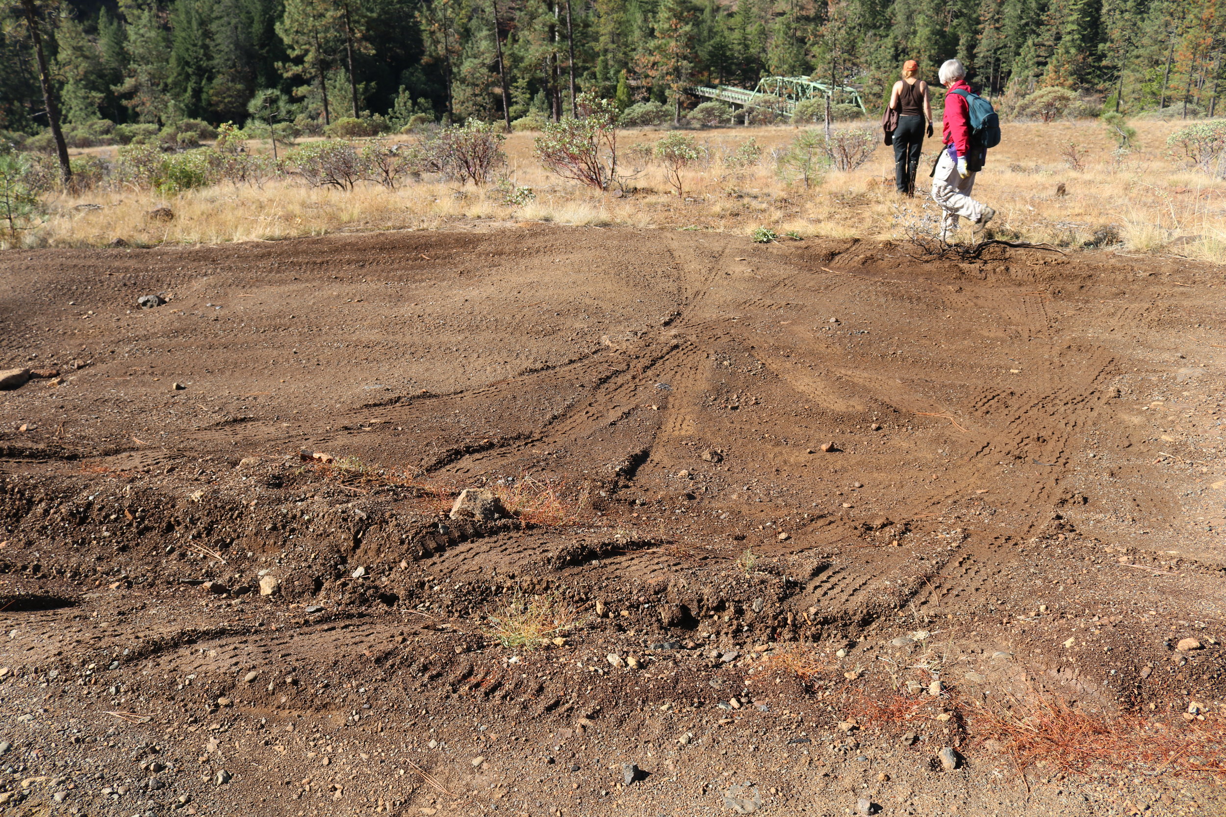  The MVUM is to be enforced by the Forest Service, however they are neglecting to do so, allowing this botanical wonderland at Eight Dollar Mountain to be turned into an OHV playground. Once soil has been compacted, vegetation has a difficult time re