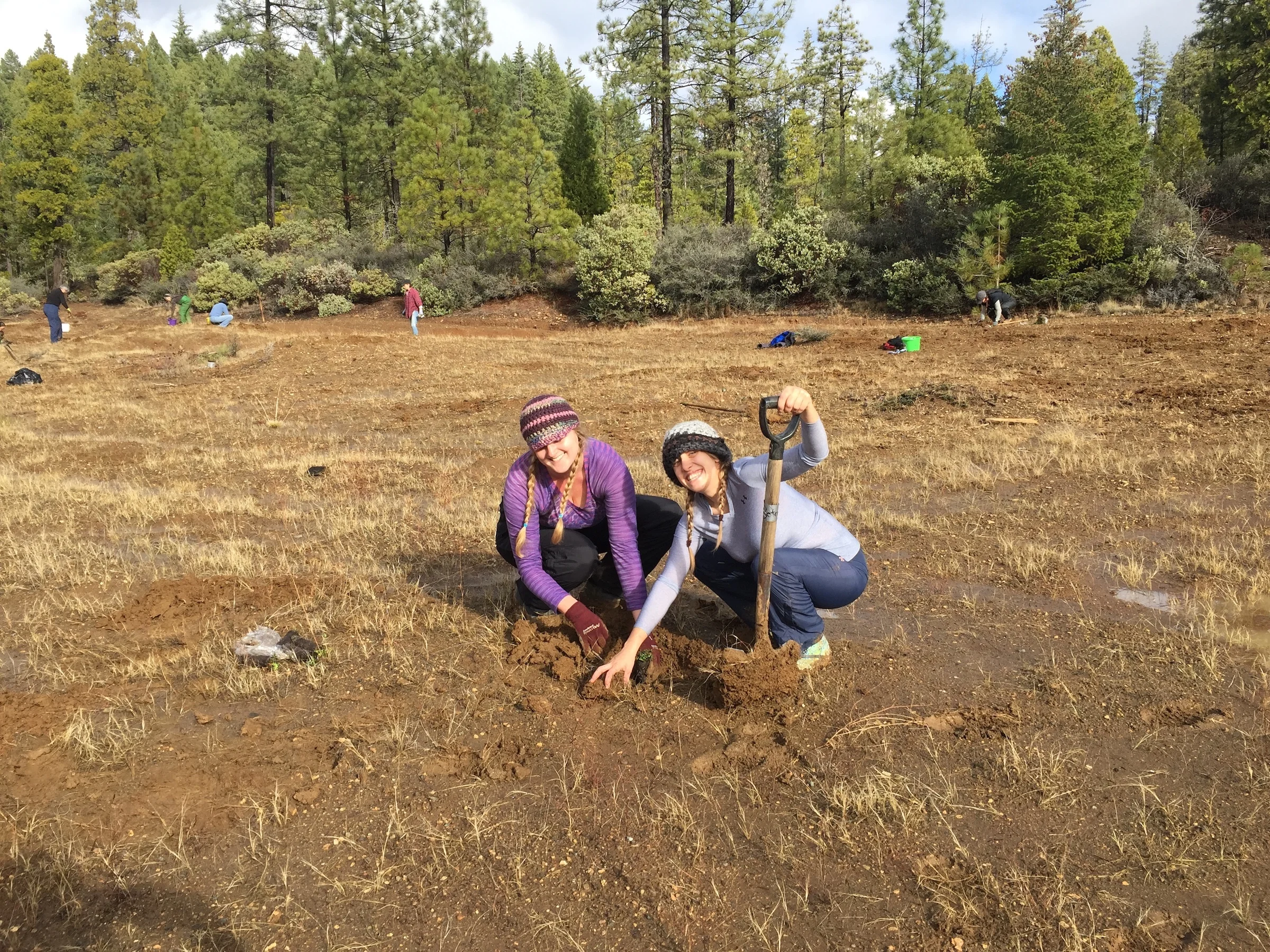 Big Red Mountain Restoration Day