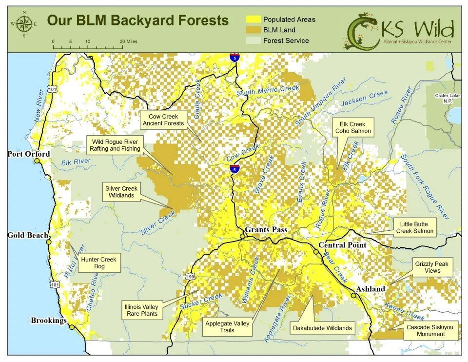 Judge Sides with Industry in Pursuit of Public Forests