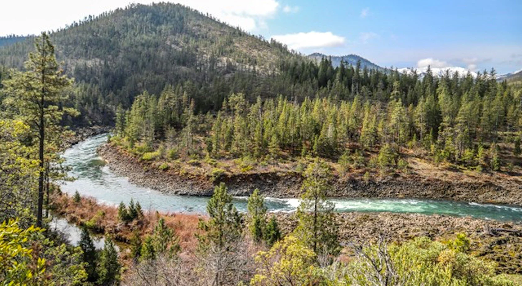 Online Campaign Updates with KS Wild and Rogue Riverkeeper