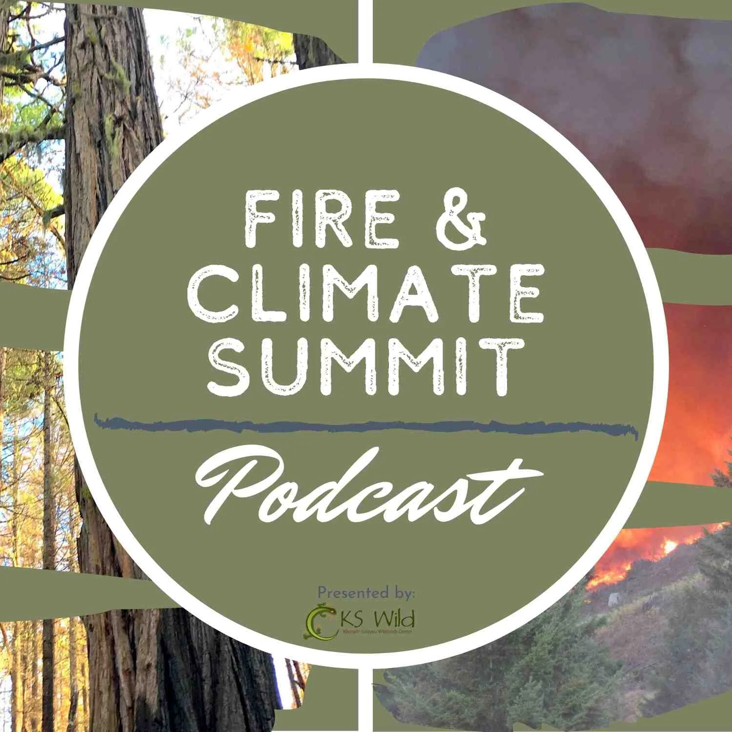 Fire & Climate Summit: Preparing for Wildfire Season during the COVID-19 Pandemic