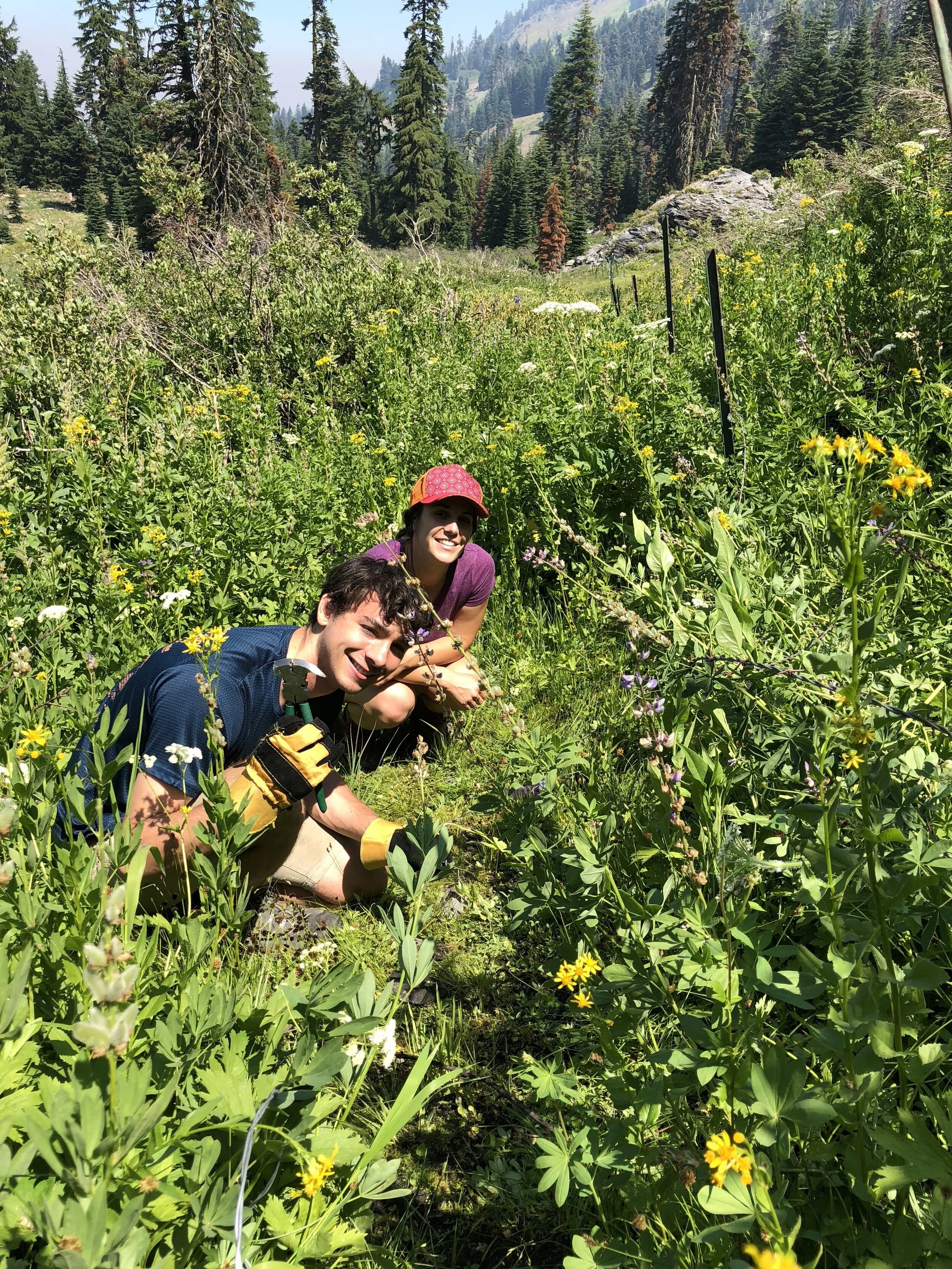 Stewardship Impacts in 2020