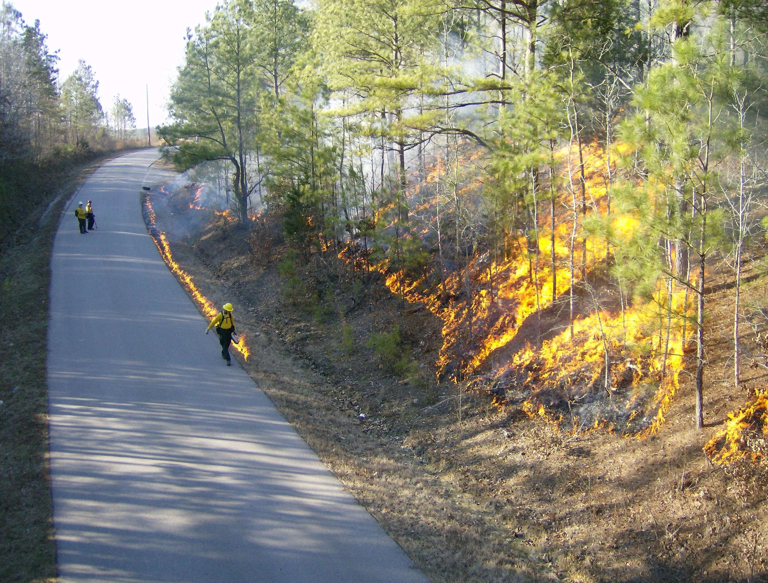 Community Prescribed Burn in the Applegate