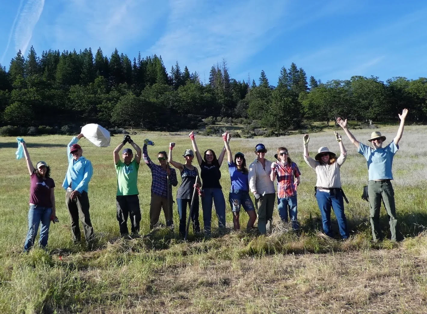Join Us for Our 6th Annual Star Thistle Weed Pull at the Mariposa Lily Preserve!
