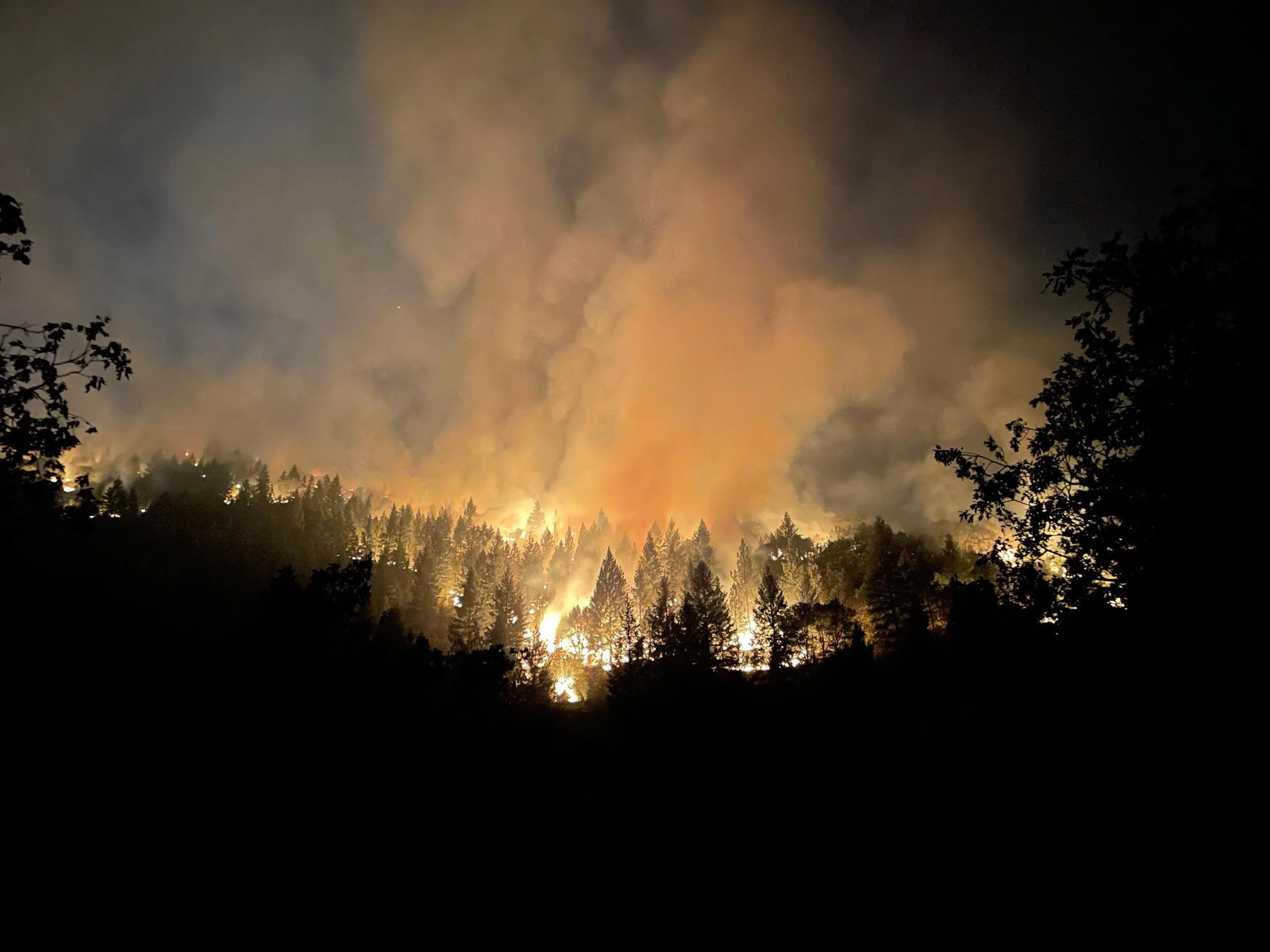 Fire Season & the Politics of Adaptation