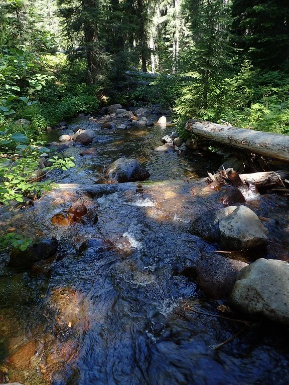 South Fork Rogue Old-Growth Hike