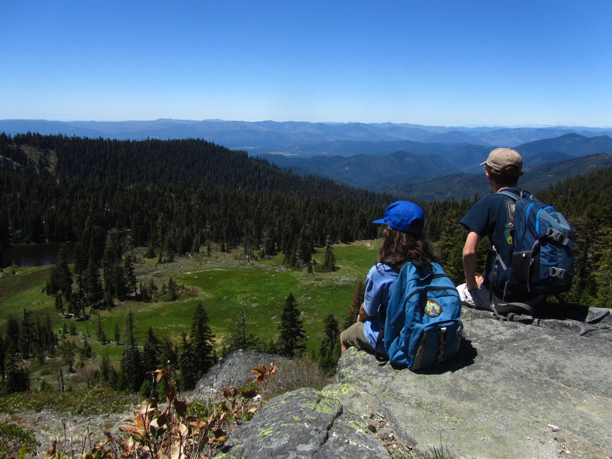 Bigelow Lakes &amp; Mt. Elijah Wildflower &amp; Old-Growth Hike