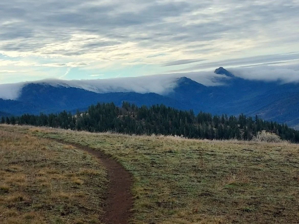 Hike the Green Springs Mountain Loop