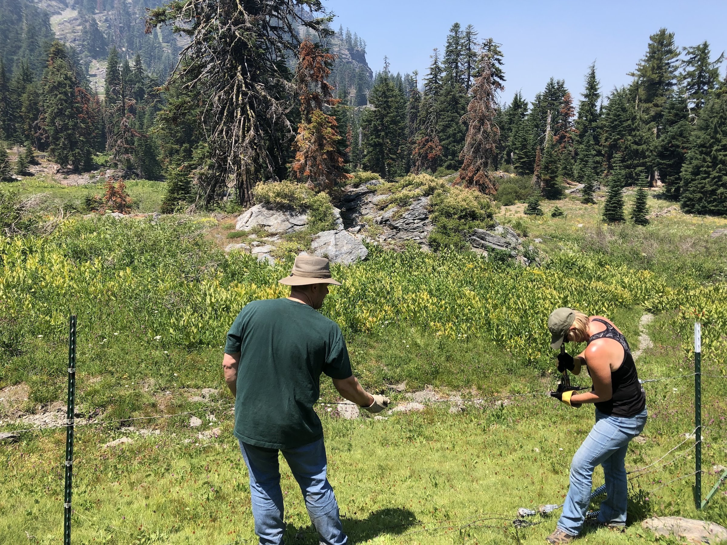 Alex Hole Stewardship Day