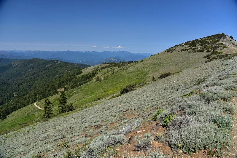 Explore Silver Fork Basin to Dutchman Peak on Siskiyou Crest
