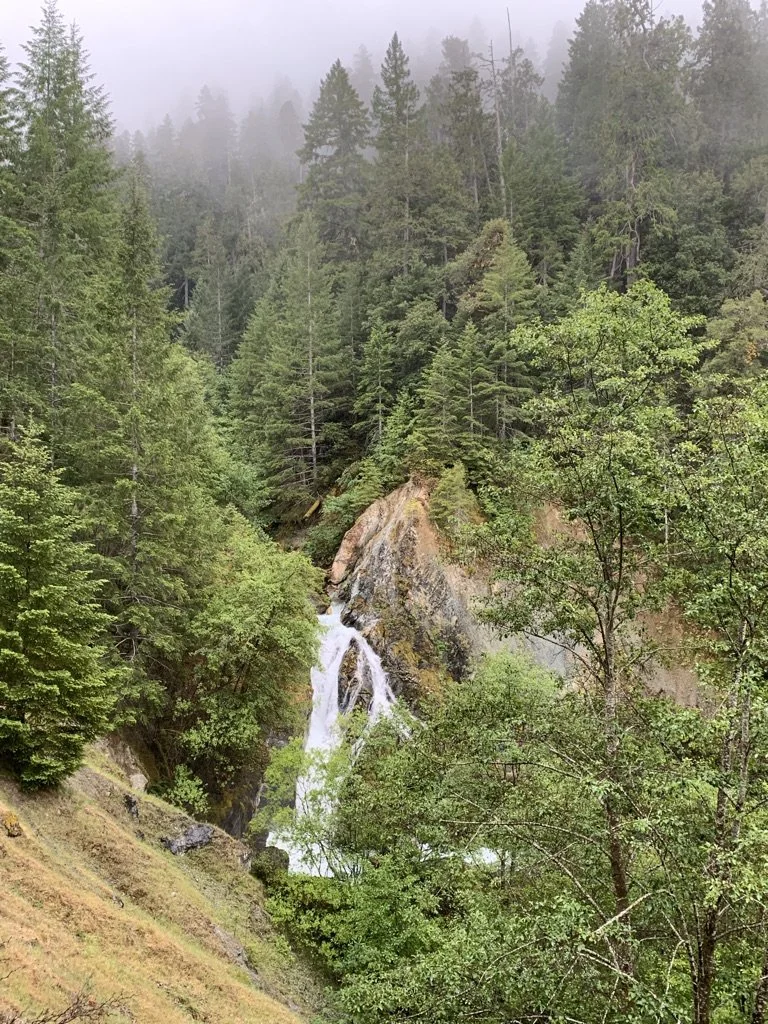 4. South Kelsey Trail