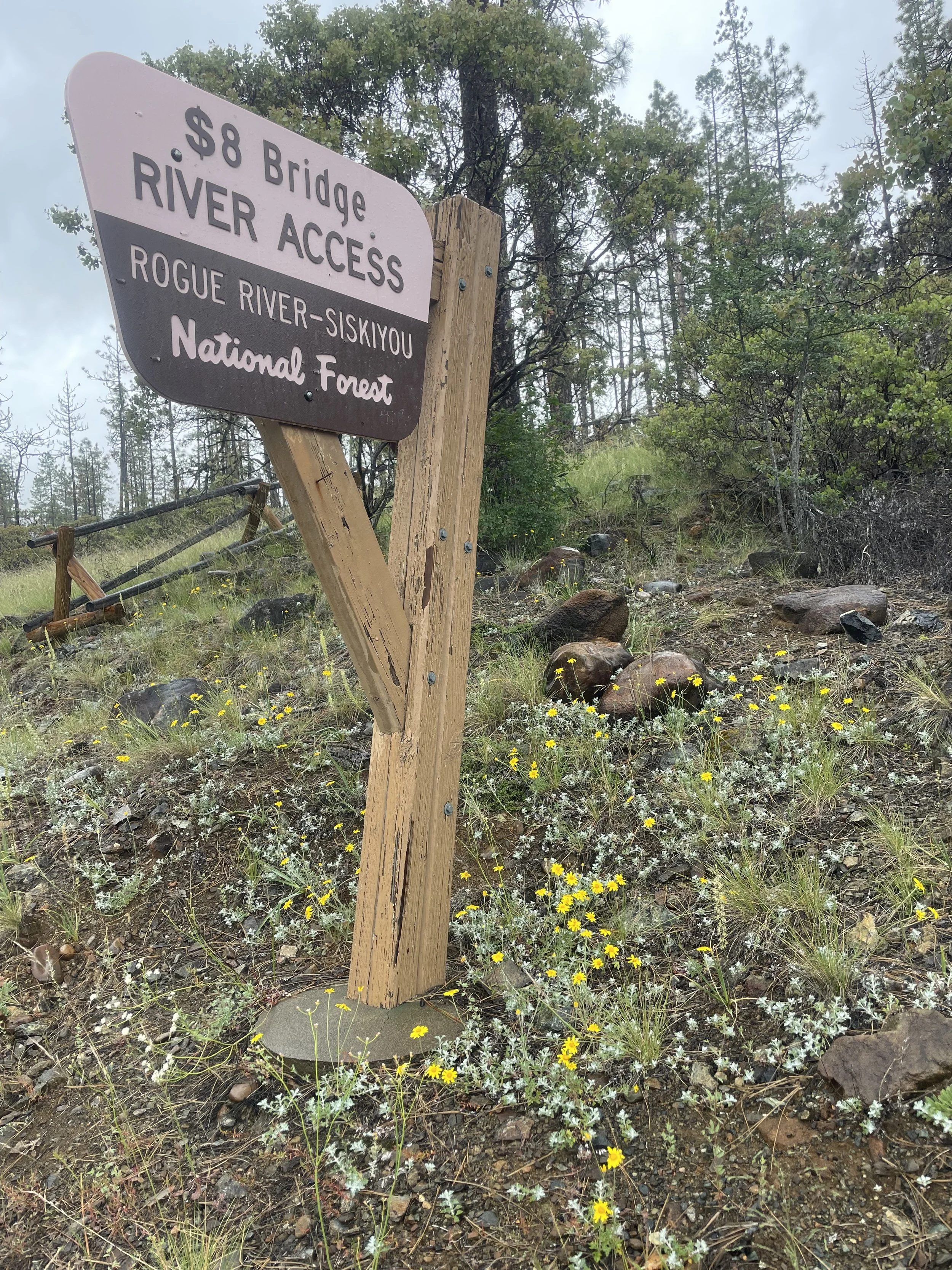 Defending Biodiversity at Eight Dollar Mountain for Half a Decade