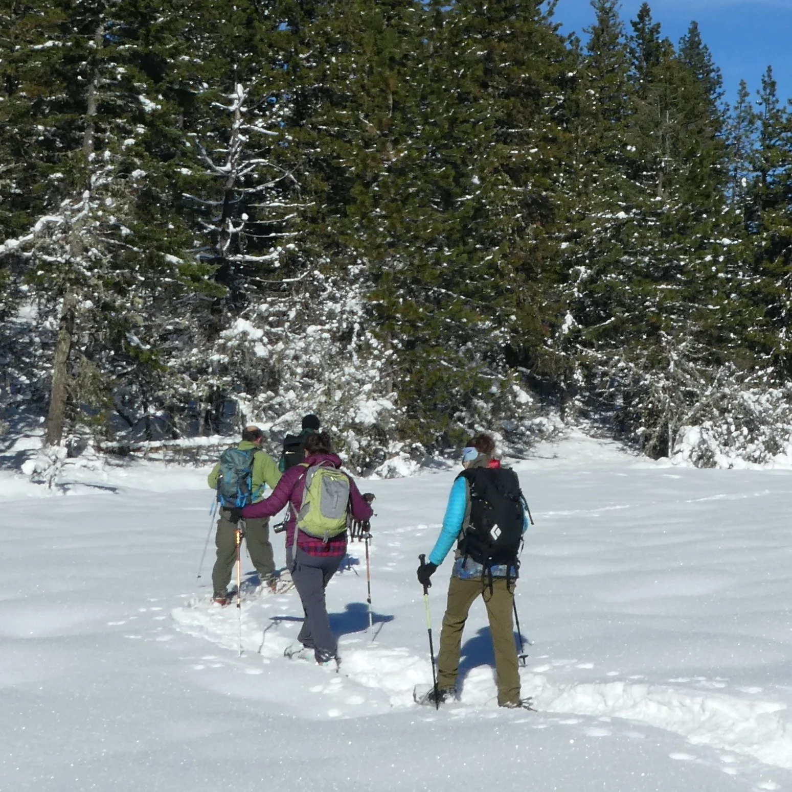 Upper Rogue River Snowshoe Hike