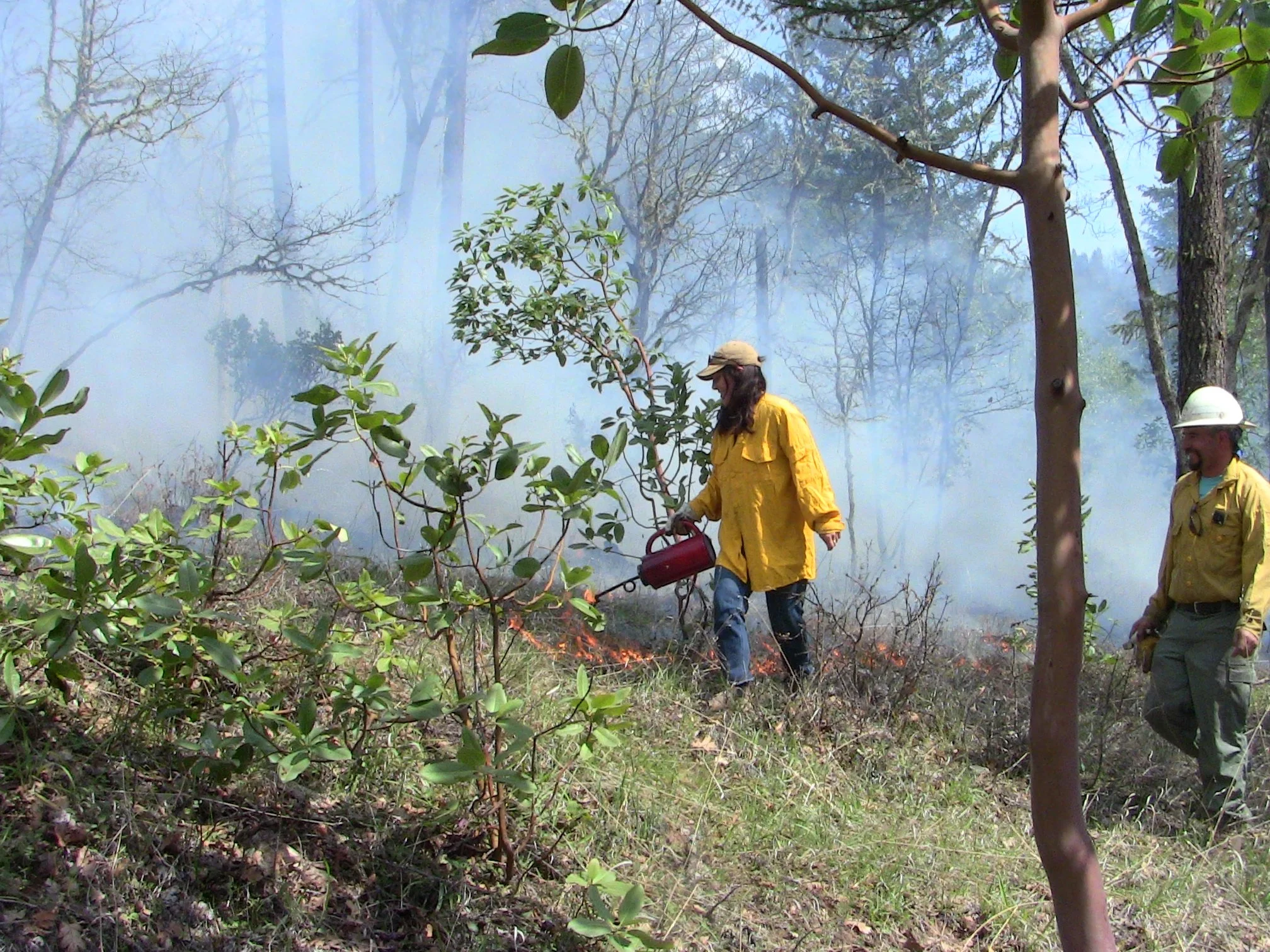 ‘Tis the Season for Prescribed Fire
