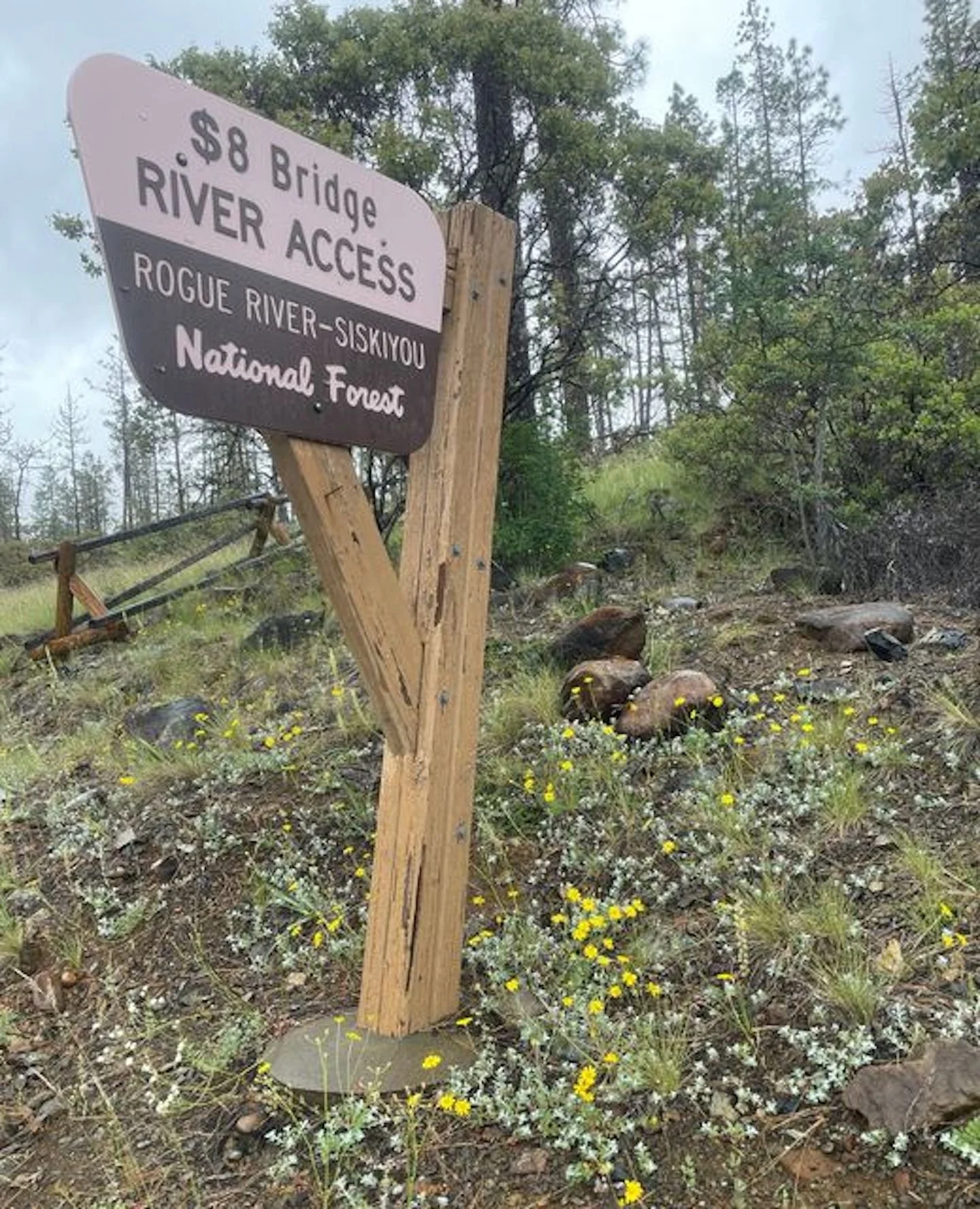 Eight Dollar &amp; Days Gulch Stewardship Day