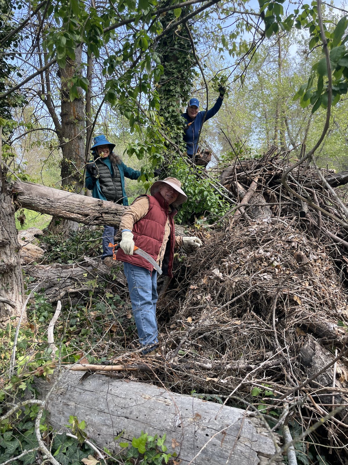 Bear Creek Stewardship Day pile, FO.jpg