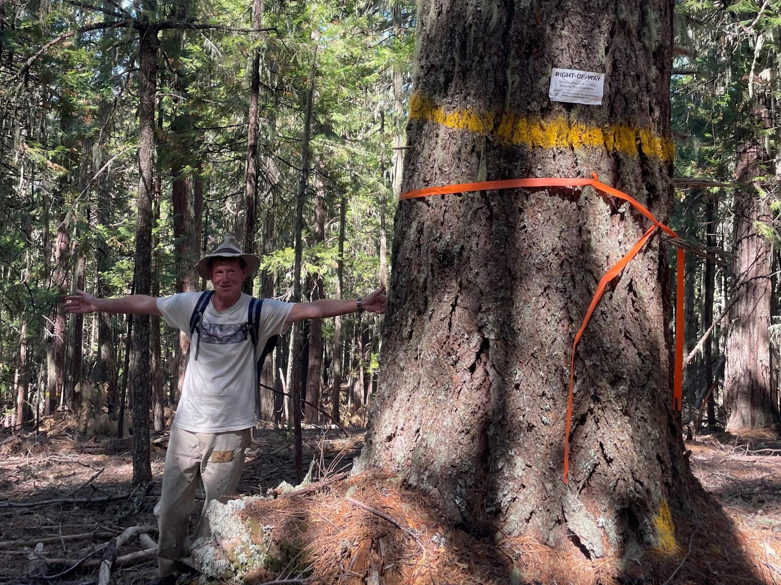 A Tale of Two Timber Sales