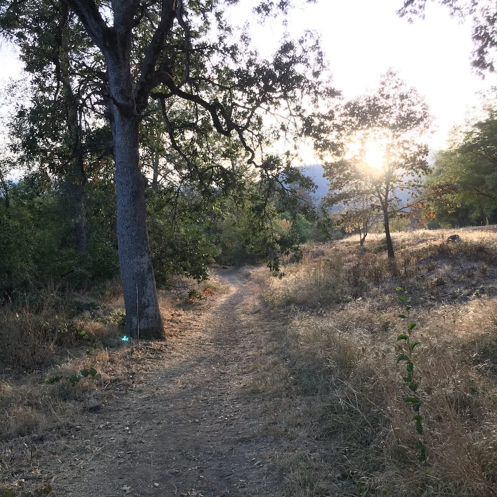 Denman Wildlife Refuge: Floodplain Exploration along Little Butte Creek