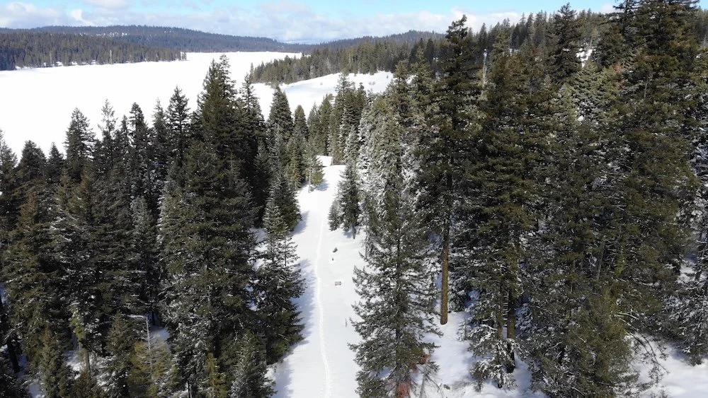 Beginner's Cross Country Ski Tour at Hyatt Reservoir