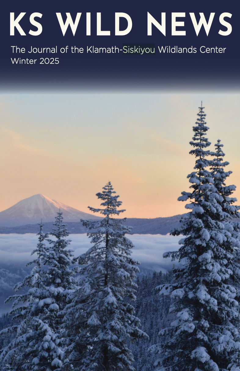 Winter 2025/2026 Newsletter