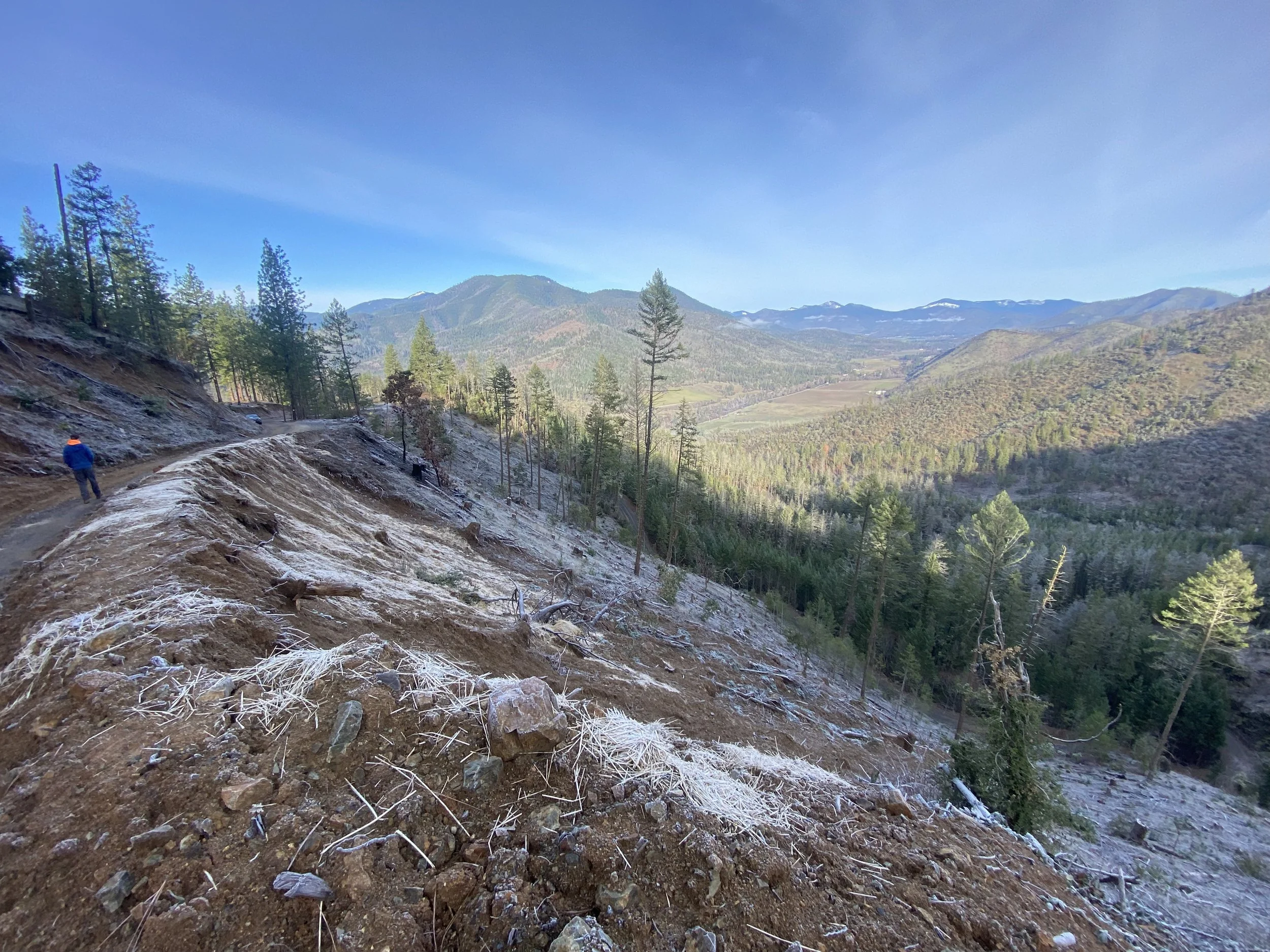 FIELD REPORT: A timber agenda goes off the rails