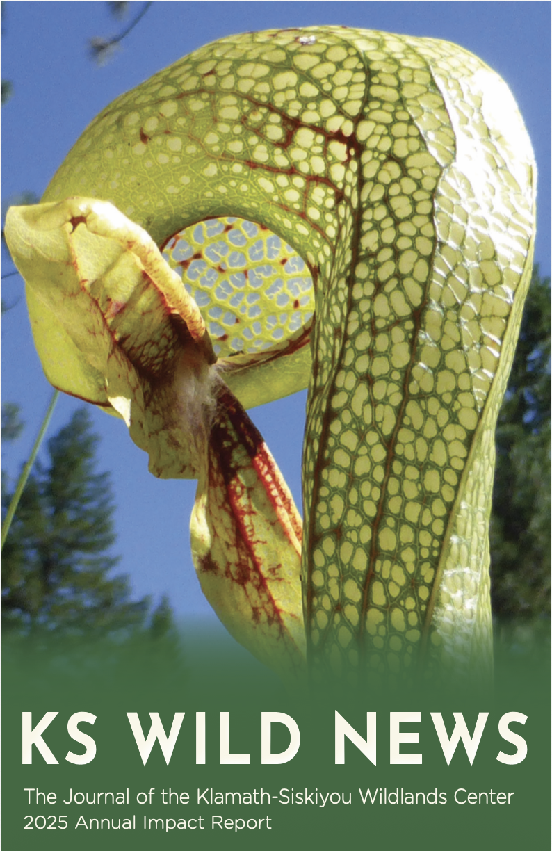 Spring - 2025 Annual Report