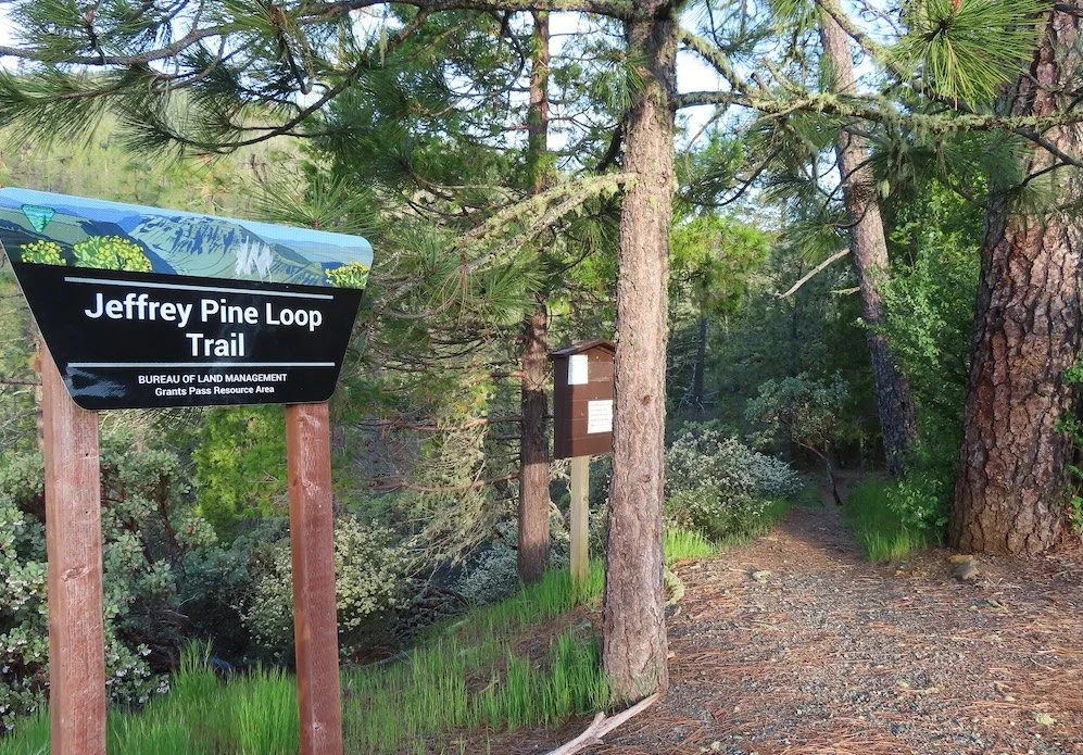 Illinois Valley Nickel Mining Threat Hike Series: Jeffrey Pine Loop River Walk