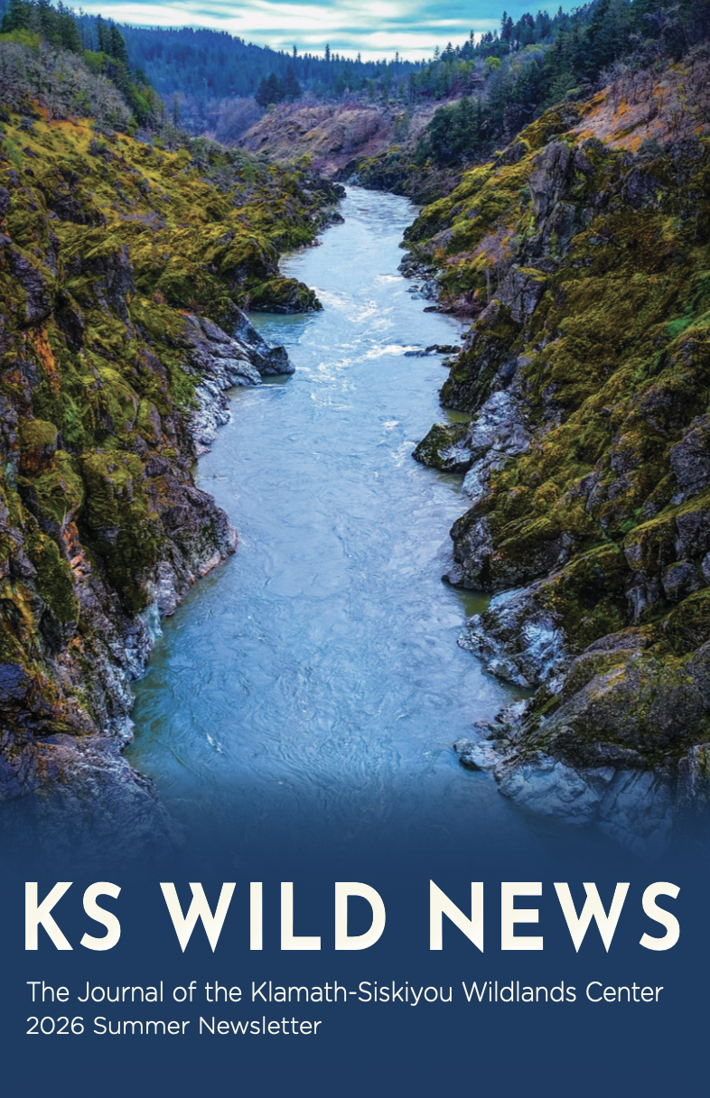 Summer 2026 Newsletter