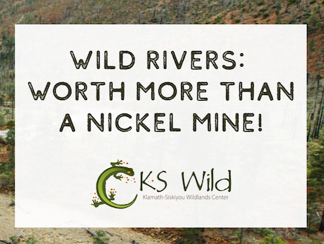 Take action today to protect our wild rivers from foreign mining interests!