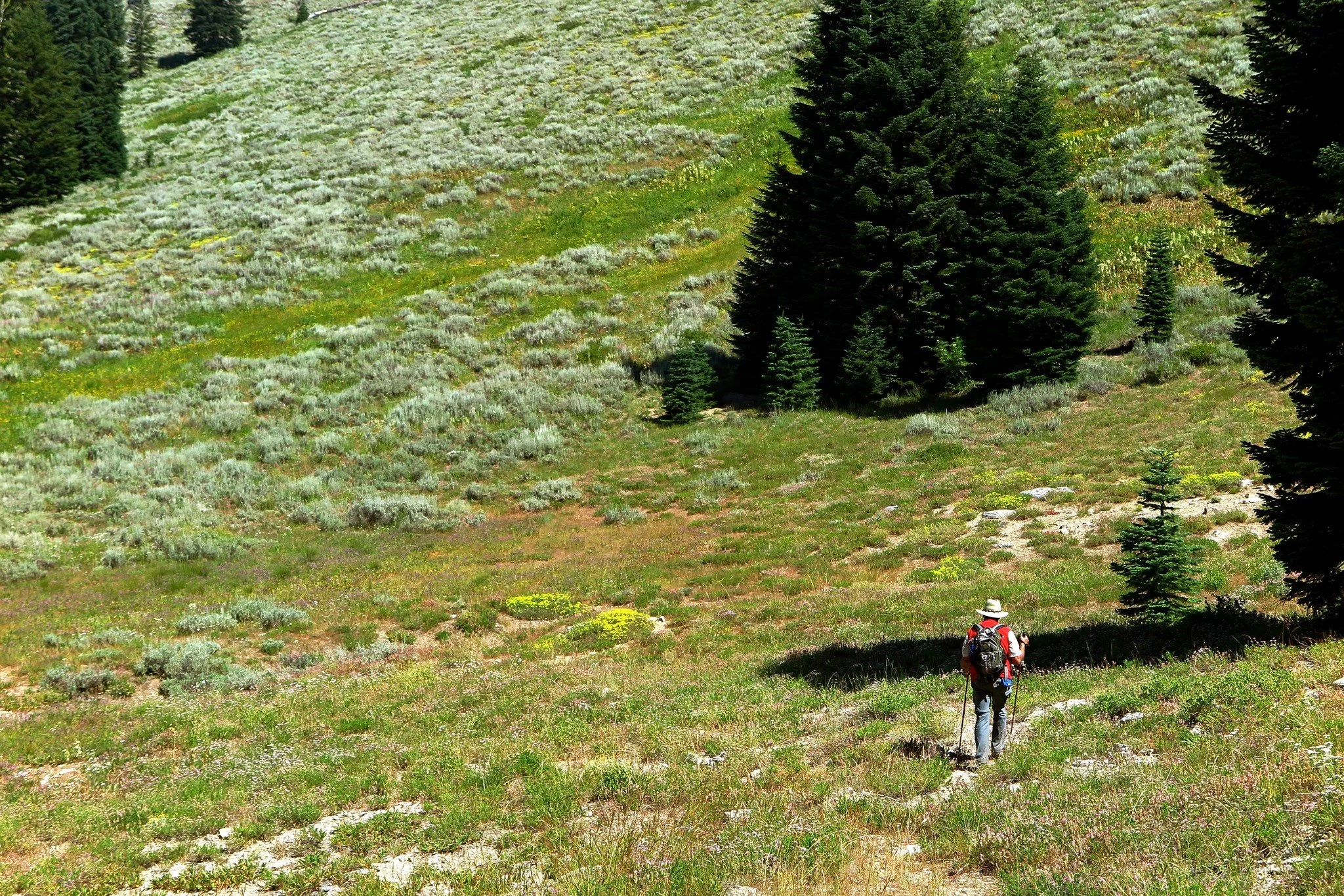 Hike into the McDonald Peak Roadless Area