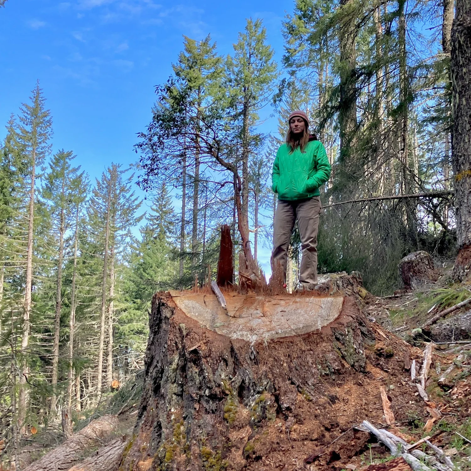 Field Report: Mill Rat Timber Sale, Poor Windy Project — Klamath ...