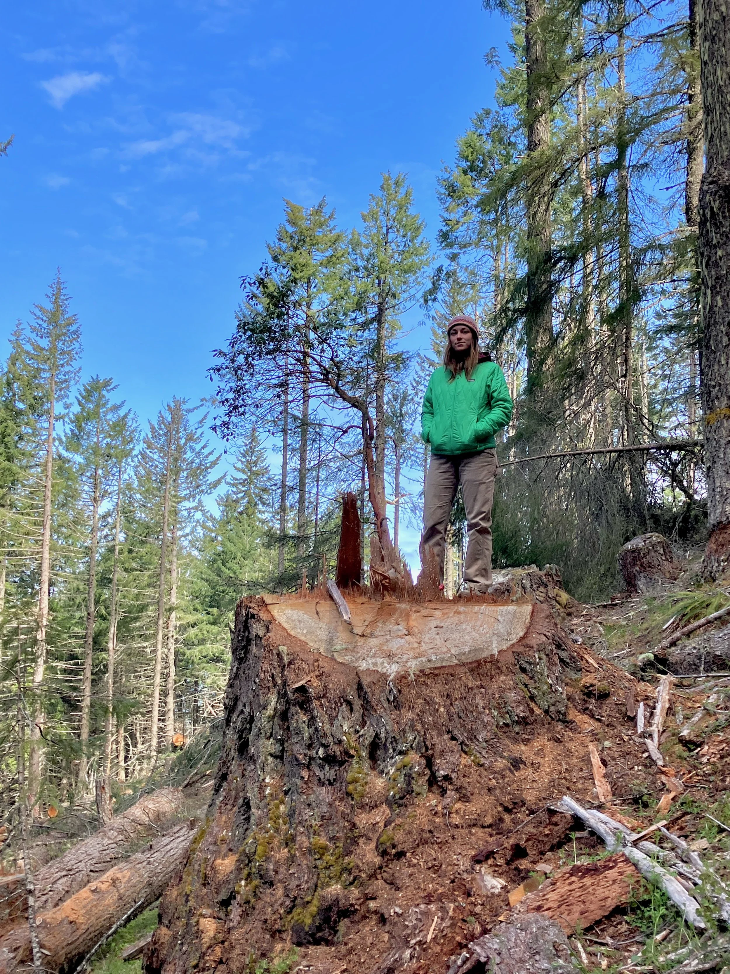 Field Report: Mill Rat Timber Sale, Poor Windy Project