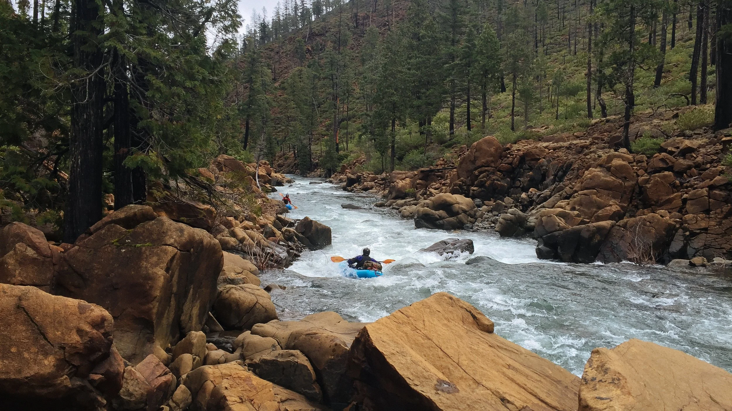 Rough and Ready Creek: A Magical — and Threatened — Place