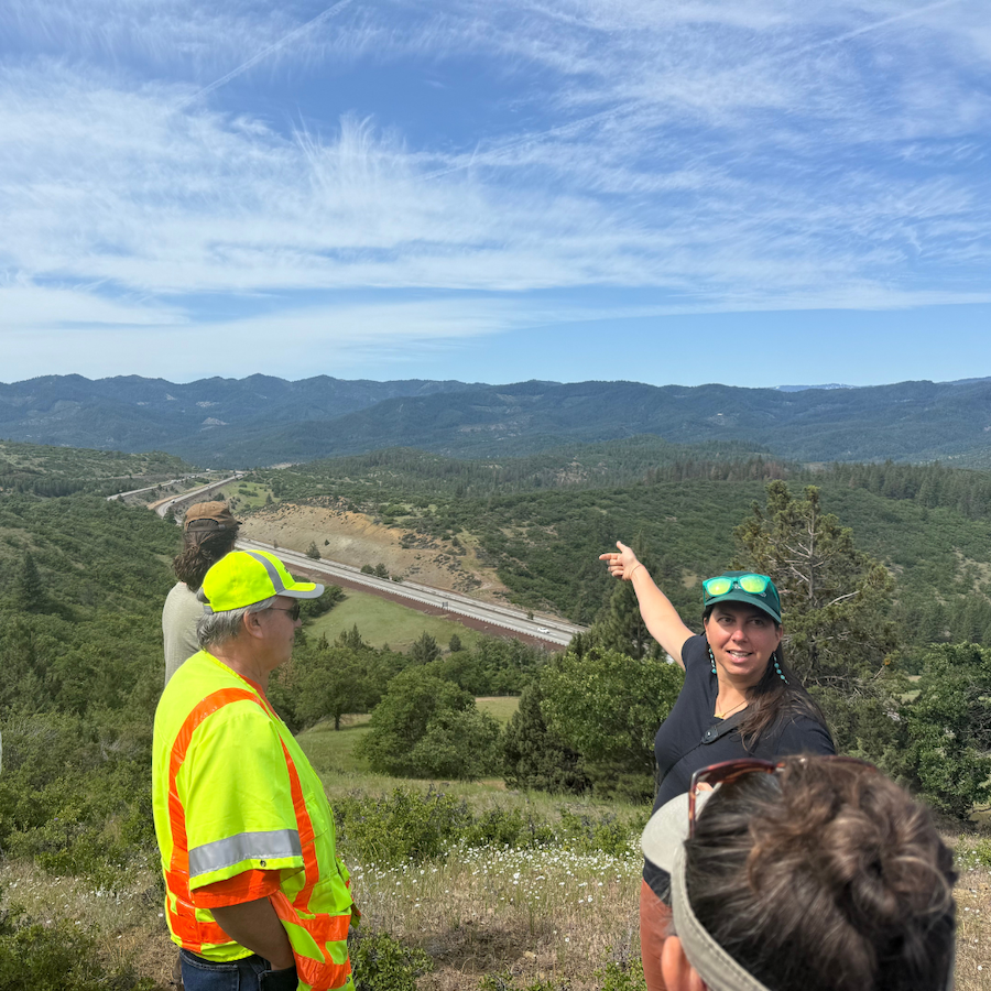 Funding approved to build Interstate 5's first ever wildlife crossing!